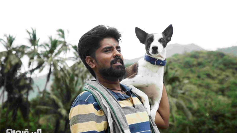 சக்திவேல் இயக்கத்தில் புதிய ஆக்சன் திரைப்படம் “அலங்கு”