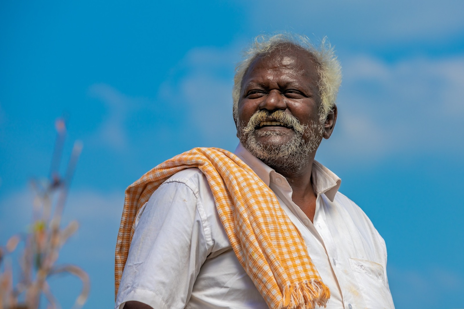 கிடா: விமர்சனம்: ரசிகர்களுக்கு விருந்து