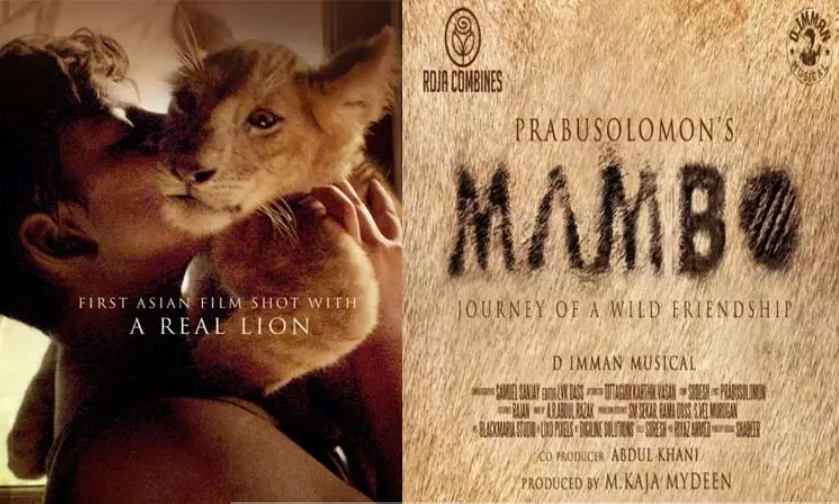 மாம்போ: சிங்கத்தை கொண்டுவரும் பிரபு சாலமன்!