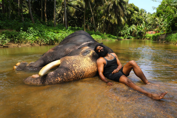 படை தலைவன்: திரைப்பட விமர்சனம்