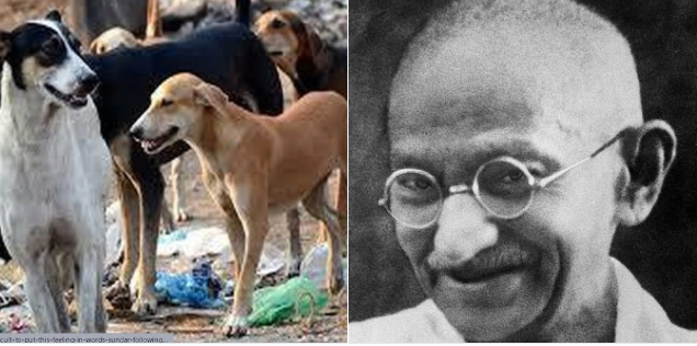 “தெரு நாய்களைக் கொல்லுங்கள்!”: மகாத்மா காந்தி