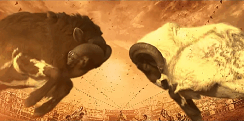 PK7 Studios தயாரித்து வழங்கும் “ஜாக்கி”! இயக்குநர் பிரகபல் கடிதம்!