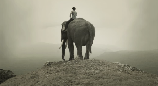 பிரபு சாலமன் இயக்கத்தில் விரைவில் வெளியாகும் கும்கி 2!